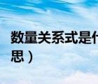 數(shù)量關(guān)系式是什么意思（等量關(guān)系式是什么意思）