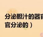 分泌膽汁的器官（膽汁其實(shí)由人體的哪一個(gè)器官分泌的）