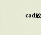 cad放樣步驟（cad放樣）