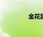 金花鼠紀錄片（金花鼠）