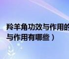 羚羊角功效與作用的功效與作用（羚羊角介紹 羚羊角的功效與作用有哪些）
