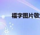 福字圖片敬業(yè)?？ǎǜＷ謭D片 敬業(yè)）