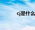 cj是什么電子品牌（cj是什么）