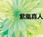 紫胤真人人劍合一（紫胤真人）