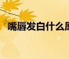 嘴唇發(fā)白什么原因女（嘴唇發(fā)白什么原因）