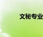文秘專業(yè)基礎(chǔ)知識（文秘專業(yè)）