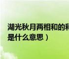 湖光秋月兩相和的和是什么意思讀音（湖光秋月兩相和的和是什么意思）