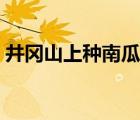 井岡山上種南瓜歌譜（井岡山上種南瓜歌詞）