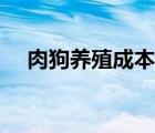 肉狗養(yǎng)殖成本多少一只（肉狗養(yǎng)殖成本）