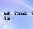 左邊一個(gè)立右邊一個(gè)羽念什么字（左邊一個(gè)立右邊一個(gè)羽念什么）