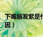 下嘴唇發(fā)紫是什么原因（女嘴唇發(fā)紫是什么原因）