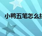 小鴨五筆怎么拼音打字（小鴨五筆好用嗎）