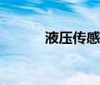 液壓傳感器原理（液壓傳感器）