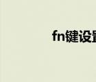 fn鍵設(shè)置 win0（fn鍵設(shè)置）