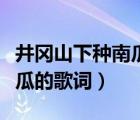 井岡山下種南瓜的歌詞是什么（井岡山下種南瓜的歌詞）
