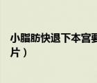 小脂肪快退下本宮要瘦了圖片（小脂肪退下吧本宮要瘦了圖片）