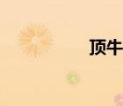 頂牛網(wǎng)官網(wǎng)（頂牛網(wǎng)）