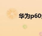 華為p60多少錢（華為p6主題）
