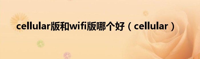 cellular版和wifi版哪個好（cellular）