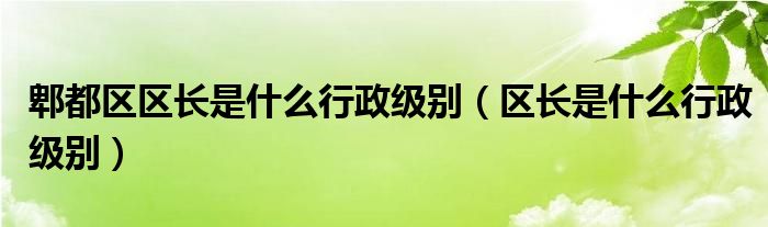 郫都區(qū)區(qū)長是什么行政級別（區(qū)長是什么行政級別）