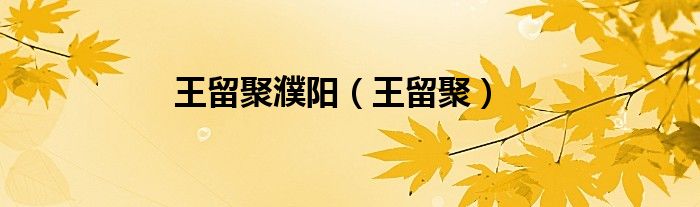 王留聚濮陽（王留聚）