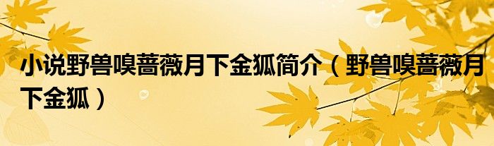 小說野獸嗅薔薇月下金狐簡介（野獸嗅薔薇月下金狐）