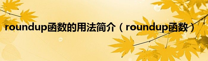 roundup函數的用法簡介（roundup函數）