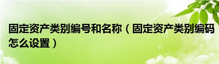 固定資產(chǎn)類別編號和名稱（固定資產(chǎn)類別編碼怎么設(shè)置）
