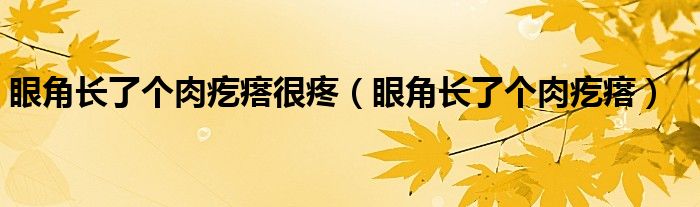 眼角長了個肉疙瘩很疼（眼角長了個肉疙瘩）