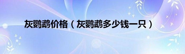 灰鸚鵡價(jià)格（灰鸚鵡多少錢一只）