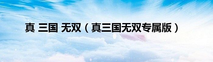 真 三國(guó) 無(wú)雙（真三國(guó)無(wú)雙專屬版）