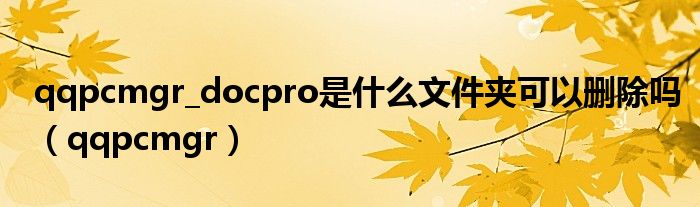 qqpcmgr_docpro是什么文件夾可以刪除嗎（qqpcmgr）
