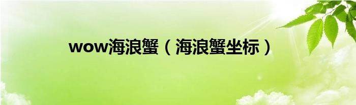 wow海浪蟹（海浪蟹坐標(biāo)）
