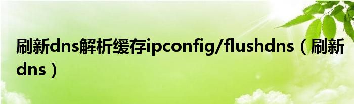 刷新dns解析緩存ipconfig/flushdns（刷新dns）