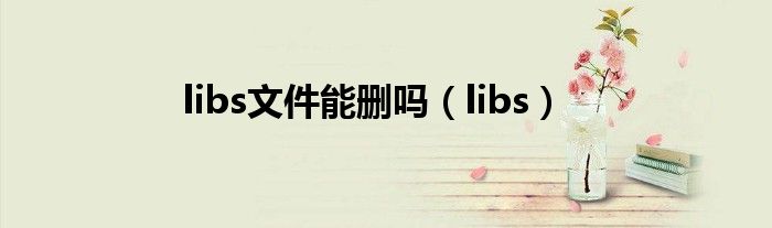 libs文件能刪嗎（libs）