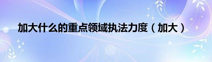 加大什么的重點(diǎn)領(lǐng)域執(zhí)法力度（加大）