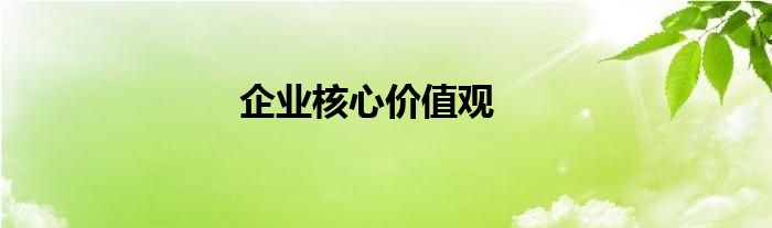 企業(yè)核心價值觀