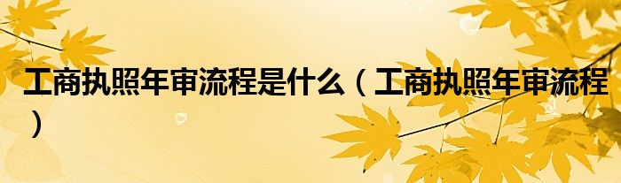 工商執(zhí)照年審流程是什么（工商執(zhí)照年審流程）