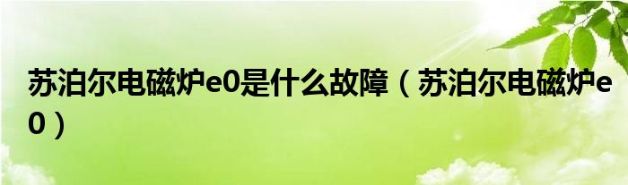 蘇泊爾電磁爐e0是什么故障（蘇泊爾電磁爐e0）