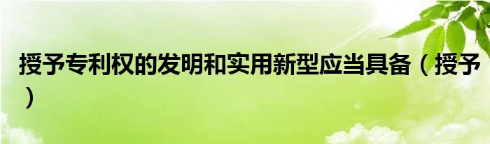 授予專利權(quán)的發(fā)明和實(shí)用新型應(yīng)當(dāng)具備（授予）