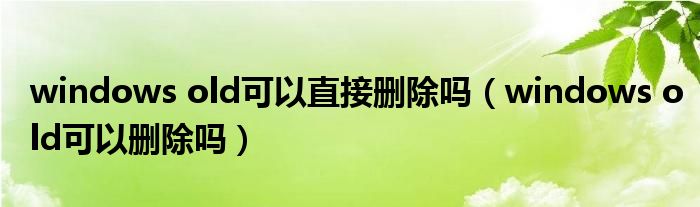windows old可以直接刪除嗎（windows old可以刪除嗎）