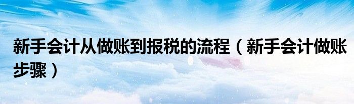 新手會(huì)計(jì)從做賬到報(bào)稅的流程（新手會(huì)計(jì)做賬步驟）