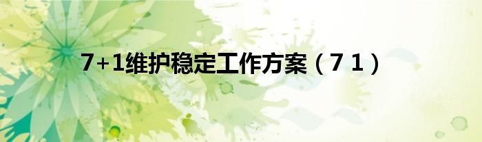 7+1維護(hù)穩(wěn)定工作方案（7 1）