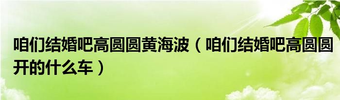 咱們結(jié)婚吧高圓圓黃海波（咱們結(jié)婚吧高圓圓開的什么車）