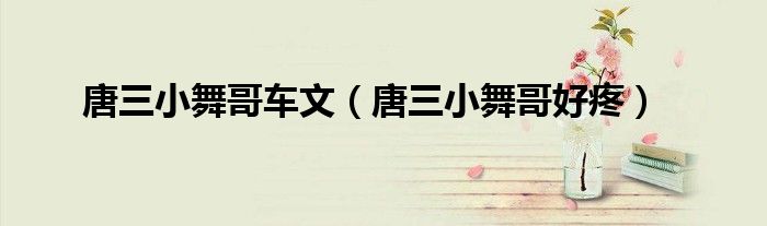 唐三小舞哥車文（唐三小舞哥好疼）