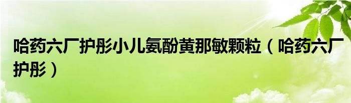 哈藥六廠護彤小兒氨酚黃那敏顆粒（哈藥六廠護彤）