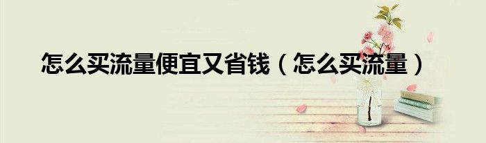 怎么買(mǎi)流量便宜又省錢(qián)（怎么買(mǎi)流量）