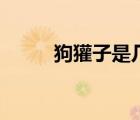 狗獾子是幾級保護動物（狗獾子）