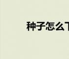 種子怎么下載快（種子怎么下載）
