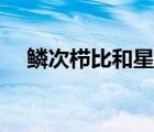 鱗次櫛比和星羅棋布的區(qū)別（鱗次櫛比）